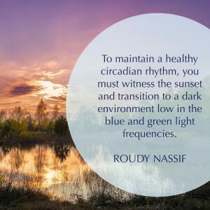 Why You Need To Check Your Light Diet – Roudy Nassif Explains